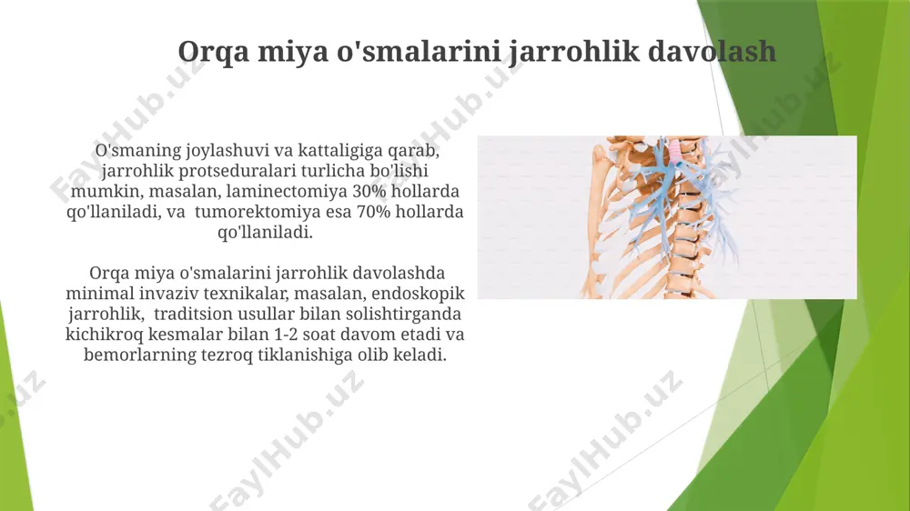 umurtqa pog'onasi patologiyalarini operativ davolash usullari - Page 5