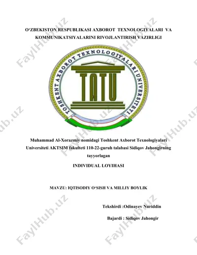 individual loyihasi — DOC