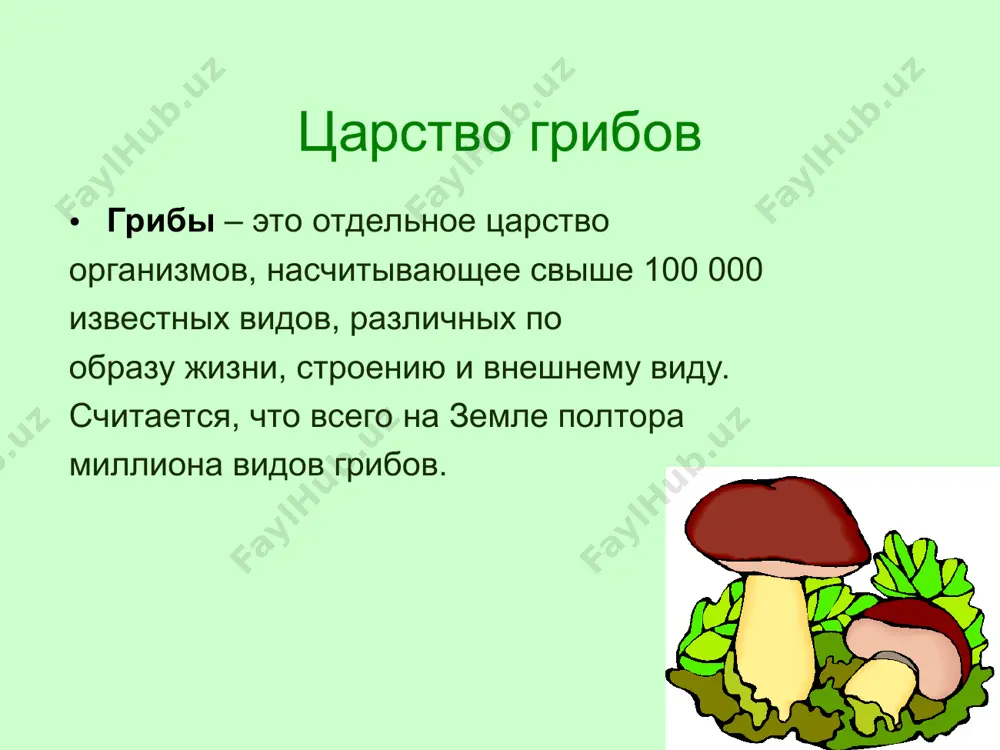 и мицелия и спорами половой – слияние половых клеток развитие происходит без покрывала в покрывале продолжительность жизни у шляпочных грибов долго живет мицелий. у трутовиков долго живет и плодовое тело. проверь себя источники информации и фотографий: http://900igr.net/kartinki/rastenija-i-griby/griby-1.files/ http:// visual.merriam-webster.com/plants-gardening/plants/mushroom/structure-mushroom.php http://gribi-vokrug-nas.ru www.grib.softrain.info/ http:///?paged=3 http://starostag.ya.ru/posts.xml?tb=120 http://gribe.ru/ http://sonet.ucoz.ru/kursy/hotpot/gojdina/griby.htm http://gribovet.narod.ru/ogrib.htm http://starostag.ya.ru/posts.xml?tb=100