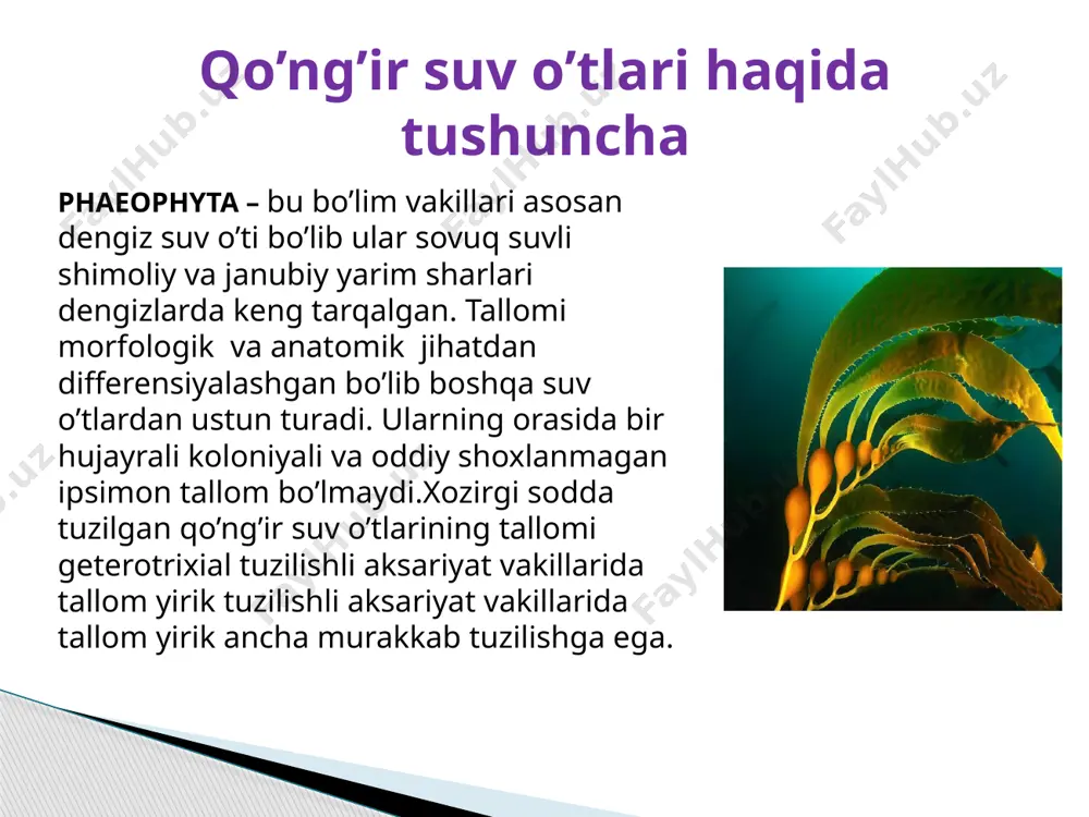 suv o’tlari biotexnologiyasi - Page 3