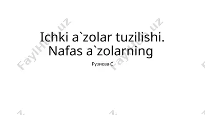 ichkia`zolar tuzilishi — PPTX