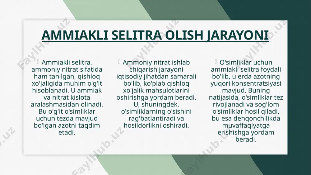 adi va ularning samaradorligi yuqori. ammiakli selitra olish jarayoni, nitrat kislota va ammiakning birikishi orqali amalga oshiriladi. ushbu jarayonda, ammiakli selitra sifatida tanilgan o'g'it hosil bo'ladi, bu esa o'simliklar uchun azot manbai sifatida muhimdir. isbot shakli misol (mavzu asosida) kitobda o‘qishimcha... kitobda o‘qishimcha, ammiak sanoat miqyosida haber-bosch usuli bilan olinadi. mening fikrimcha... mening fikrimcha, ammiakli selitra qishloq xo‘jaligi uchun eng samarali o‘g‘itlardan biri. ...ning aytishlaricha... kimyo o‘qituvchimning aytishlaricha, nitrat kislota havoda azot(iv) oksid hosil bo‘lishi orqali olinadi. internet manbalarida yozilishicha... internet manbalarida yozilishicha, kaliyli o‘g‘itlar kartoshka hosildorligini oshiradi. eshitishimcha... eshitishimcha, azotli o‘g‘itlar mevali daraxtlar uchun ham foydali hisoblanadi. televizorda ko‘rsatilishlaricha... televizorda ko‘rsatilishlaricha, ammiak ishlab chiqarish uchun tabiiy gaz asosiy xomashyo hisoblanadi. ko‘chada odamlarni aytishicha... ko‘chada odamlarni aytishicha, ammiakli selitra ba'zida noto‘g‘ri saqlansa xavfli bo‘lishi mumkin. ammiakli selitra haqida ma'lumot ammiakli selitra (nh4no3) azotli o'g'it sifatida keng qo'llaniladi. u qishloq xo'jaligida o'simliklarning o'sishini yaxshilash va hosildorlikni oshirish maqsadida ishlatiladi. ammiakli selitra, …