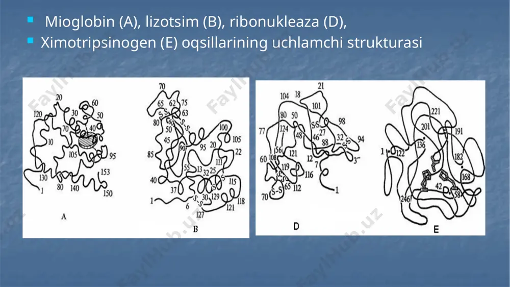 oqsillarning birlamchi strukturasi - Page 3