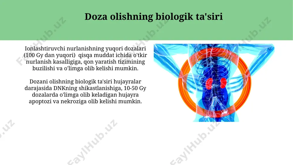 yutilgan nurlar energiyasini dozimetrik baholash - Page 4