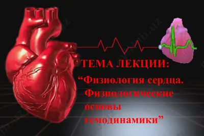 fizioterapiya kursi — PPT