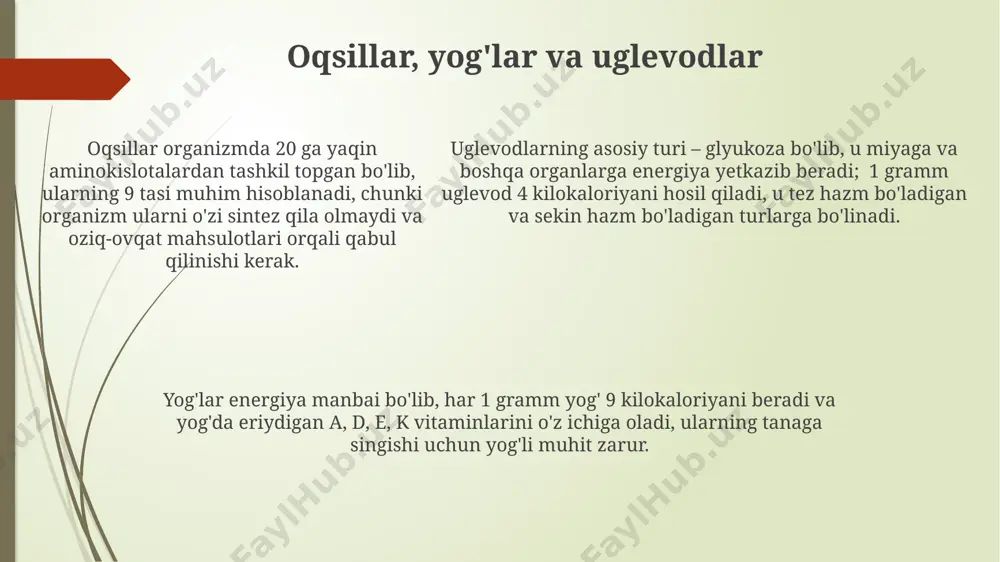 oziq-ovqatlanish - Page 5