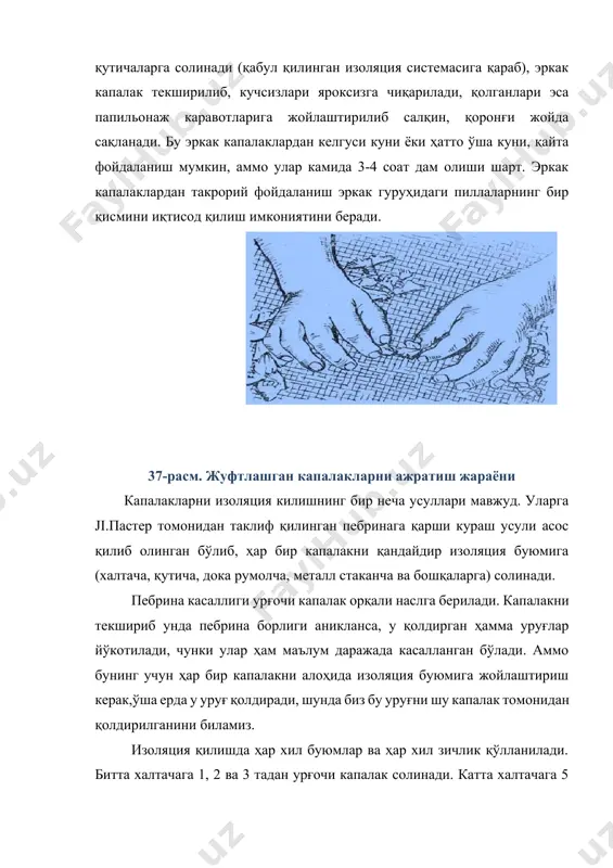 ари эса капалак пилладан чиққанидан кейин ҳосил бўлган уруғни қолдиради. одатда бундай уруғлар биринчи куни қолдирилган уруғларга нисбатан майда, захира озиқа моддаси кам, физиологик томонидан аҳамияти паст. шунинг учун ҳам охирги куни қолдирилган. уруғларни ажратиш имкониятига эга бўлиши ва кейин уни яроқсизга чиқариш мақсадга мувофиқ ҳисобланади. аммо бундай иш кўп меҳнат талаб қилади ва капалакларни халтачаларга 1-5 донадан изоляция қилишда, амалда уни бажаришнинг имконияти йўқ. қутичалардан ёки металл стаканчалардан фойдаланишда тегишли мосламаларнинг бўлиши, уруғчилик корхоналари шароитида оҳирги қолдирилган уруғни яроқсиз қилиш ва шу билан тайёрланадиган уруғ сифатини бирмунча яхшилаш имкониятини беради. сўнгги бир неча йил давомида капалакларни ёппасига микроскопда текшириш вақтида пебрина билан касалланиш 0,05 фоиздан ошмайдиган ёки бутунлай учрамайдиган уруғчилик корхоналарида капалакларни махсус ичига ҳаво ўтиши учун майда тешилган, эмульсияланган пергамент қоғоз билан қопланган қутичаларга гуруҳлаб изоляция қилишга рухсат этилади. капалаклар шу қоғозларга ўзини қолдирадиган уруғларни ёпиштиради. битта қутичага 100 тадан капалакни изоляция қилиш фақат капалакларни ёппасига микроскопда текшириш …