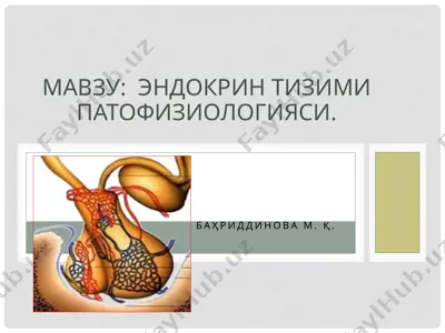 эндокрин тизими патофизиологияси — PPTX