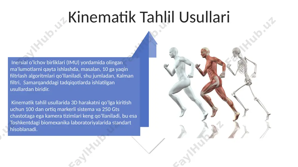odamning dinamik holdagi harakatlarining klassifikatsiyasi - Page 4