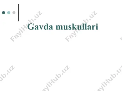 gavda muskullari — PPT