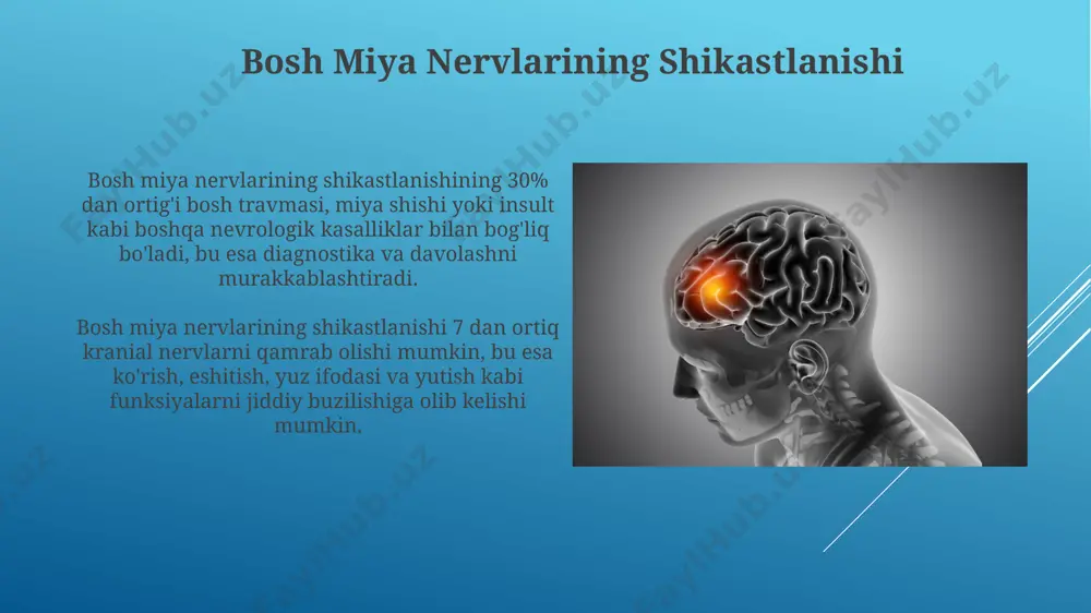 shikastlanishi trapezius mushakining kuchsizlanishiga, yelka kamarining pastga tushib qolishiga va boshni aylantira olmaslikka olib kelishi mumkin. bu 3 ta asosiy alomat hisoblanadi. xi juft bosh miya nervi (aksessuar nerv) 11-juft bosh miya nervi bo'lib, bosh va bo'yin mushaklarini, xususan, trapezius va sternocleidomastoid mushaklarini innervatsiya qiladi. ix juft nerv: til-yutqinch nerv ushbu nervning shikastlanishi ta'm sezishning buzilishiga (glossofaringeal nevralgiyasi), yutish qiyinchiliklariga va tuprik ajralishining o'zgarishiga olib kelishi mumkin. til-yutqinch nervi (ix) kranial nervlar guruhiga kiradi va uning tolalari miya sopasidan chiqib, tilning orqa qismiga, yutqinch va halqumga tarqaladi. viii juft nerv: eshitish va muvozanat nerv vestibulyar nerv, gravitatsiya va bosh harakatlarini sezadigan 3 ta yarim aylana kanallar va 2 ta otolit organlaridan ma’lumot oladi va bu ma’lumotlarni miyaning muvozanat markaziga yuboradi. koklear nerv taxminan 30 000 ta eshituv retseptorlaridan (soch hujayralari) tovush to'lqinlarining chastotalari va intensivligi haqidagi ma’lumotni miyaning eshitish qobig'iga uzatadi, bu esa bizning eshitishimizni ta’minlaydi. e'tiboringiz uchun rahmat @taqdimot_robot …