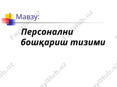 personalni boshqarish tizimi — PPT