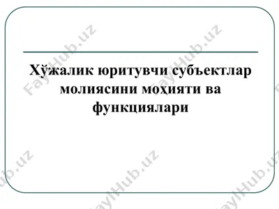 хўжалик юритувчи субъектлар молияси — PPT