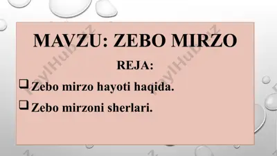 zebo mirzo — PPTX