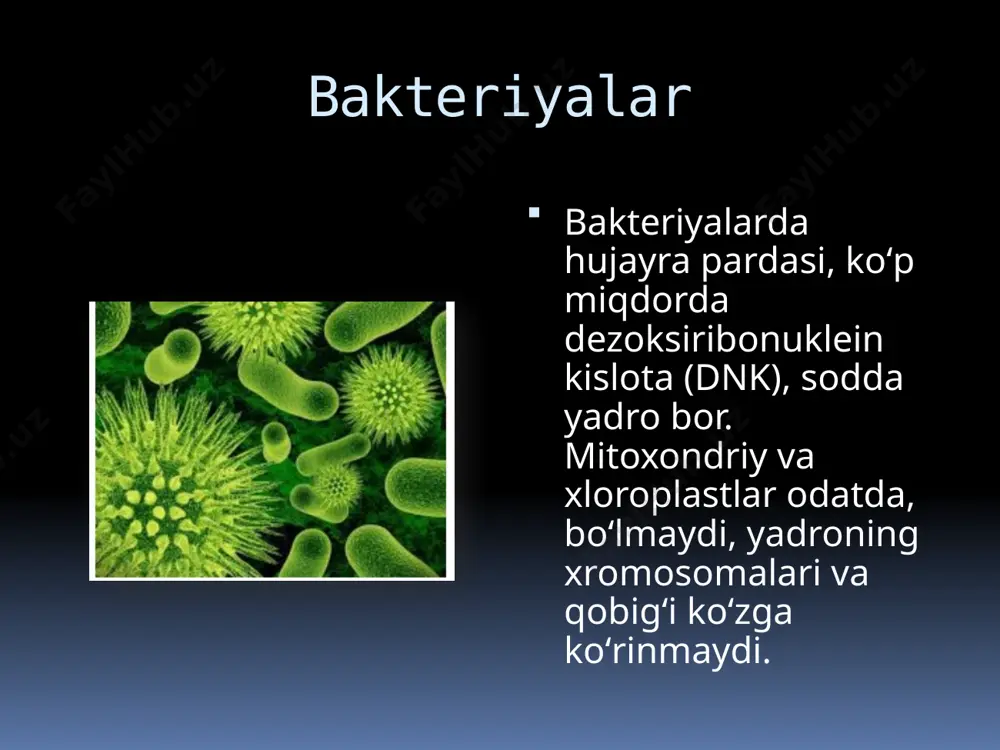 bakteriyalarning bioplyonkasi - Page 3