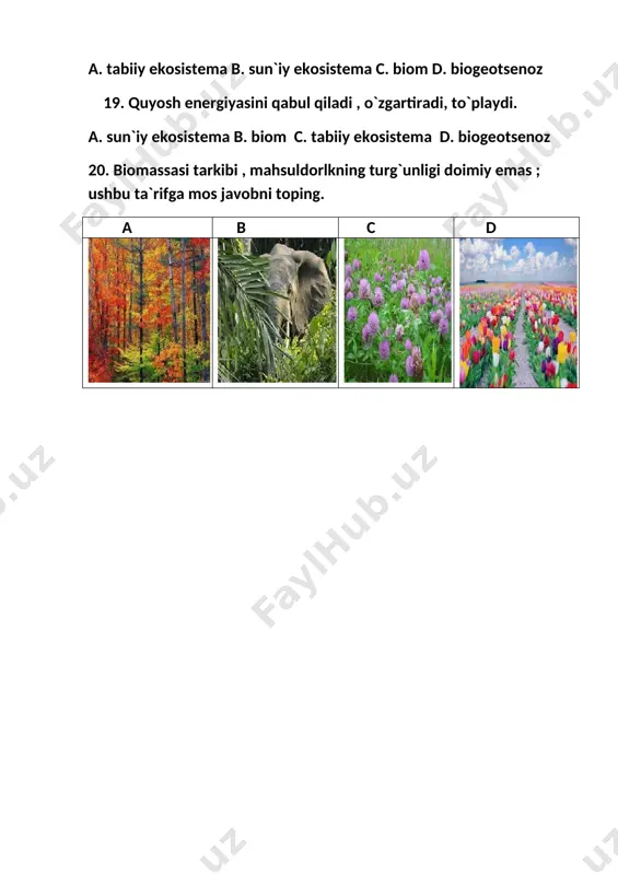biologiya fanidan test savollari - Page 4