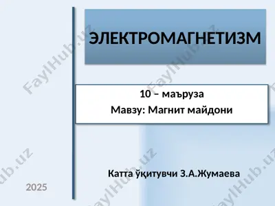 электромагнетизм — PPTX