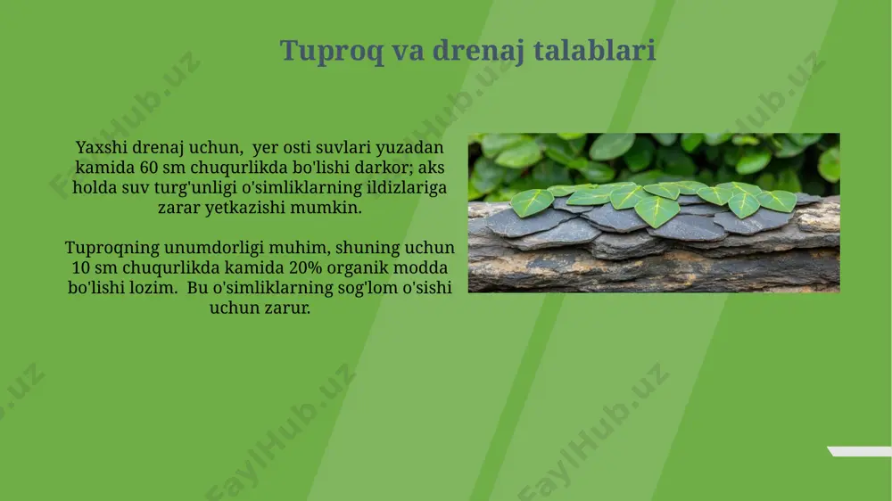 tabiat burchagida qo'yiladigan talablar - Page 5