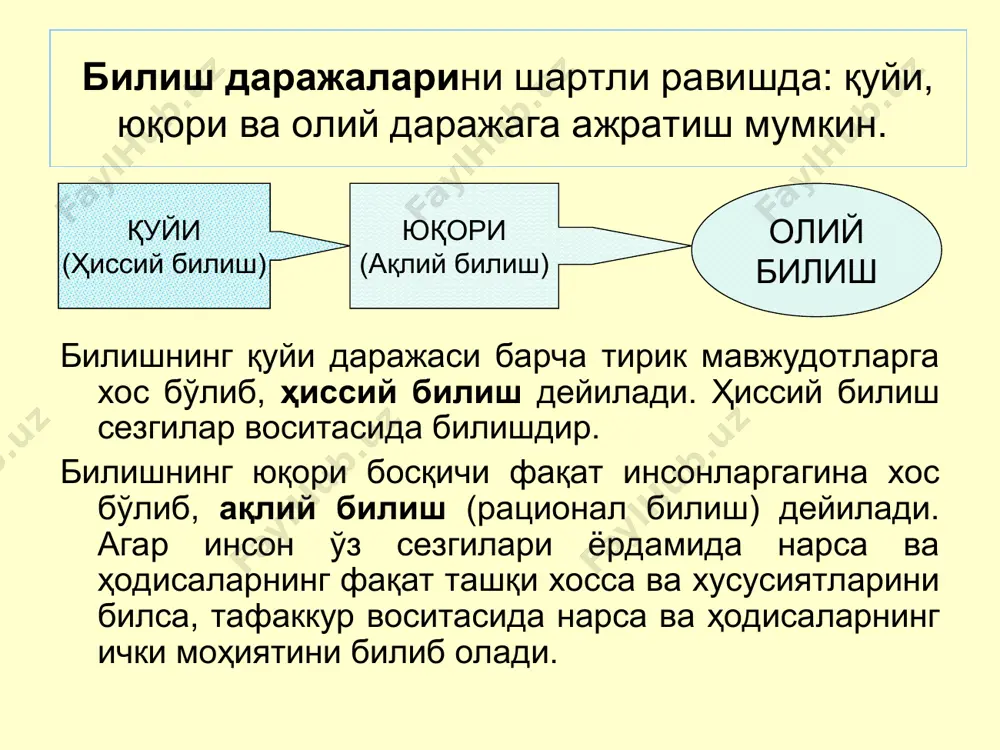 biliş falsafasi (gnozeologiya) - Page 4