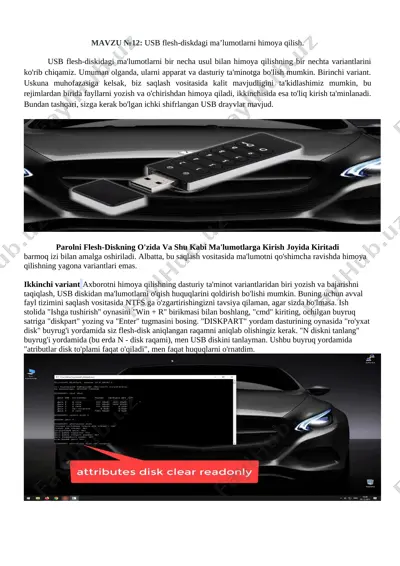 usb flesh-diskdagi ma’lumotlarni himoya qilish — PDF