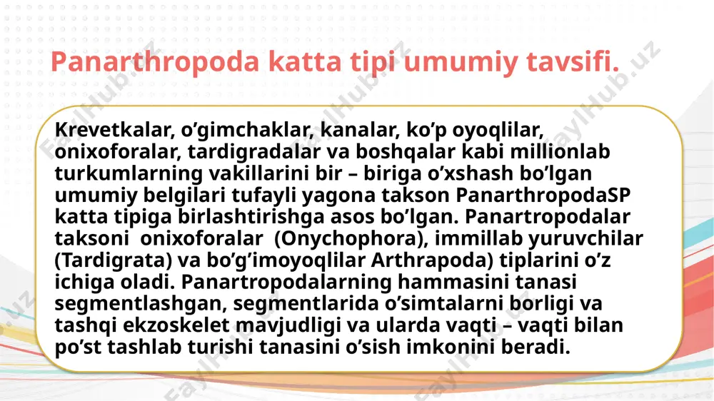 ir segmentda qisqa, lob shaklidagi oyoqlar joylashgan. bular podlar deb ataladi. • bosh qismi: boshida antenna (mo‘ylov), og‘iz va o‘ljasini tutish uchun maxsus yopishqoq suyuqlik chiqaruvchi bezlar mavjud. yashash muhiti: • tropik va subtropik mintaqalarning nam tuproq va o‘rmonlarida yashaydi. • faqat yerda (terrestrial) yashaydi. oziqlanishi: • onychophora kichik hasharotlar va boshqa omurgasiz hayvonlar bilan oziqlanadi. • yopishqoq suyuqlikni o‘ljasiga otib, uni harakatsiz qilgandan so‘ng ov qiladi. • ko‘payishi: • turlarning ko‘pchiligi ovovivipar (tuxum tanada rivojlanib, tirik tug‘iladi). • ayrim turlar vivipar yoki ovipar (tuxum qo‘yuvchi) ham bo‘lishi mumkin. ekologik ahamiyati: onychophoralar tuproq ekosistemasining muhim a’zolari bo‘lib, kichik omurgasizlar populyatsiyasini tartibga soladi imillab yuruvchilar(tardigrada) tipi umumiy tavsifi. immillab yuruvchilar (tardigratap) yoki tardigradalar nihoyatda kichik ko’p hujayrali hayvonlar bo’lib, tardigradalar 4 juft porapoda – oyoqlari bo’lib, mayda immillab yuruvchi sichqonchaga o’xshaydi. gavdasining uzunligi 100 – 150 mkm bo’lib, eng gigantlari uzunligi 1,5 mm keladi. yashirin hayot kechiradi. boshqa taksonlar bilan evalutsion …