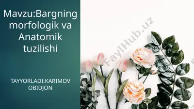 bargning morfologik va anatomik tuzilishi — PPTX