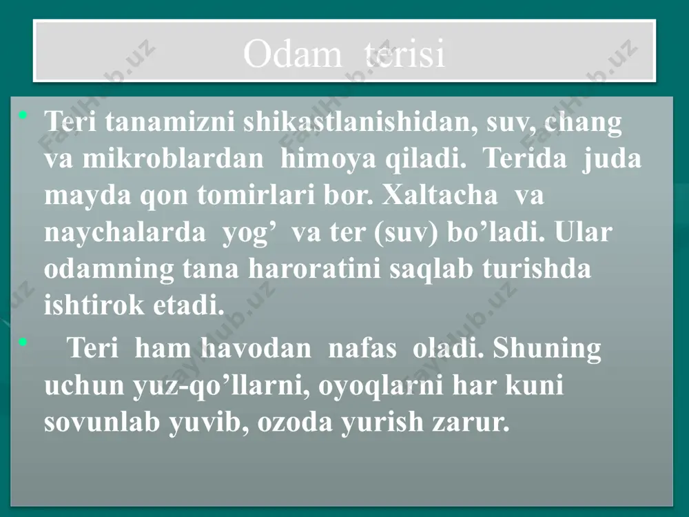 odam tuzilishi - Page 4