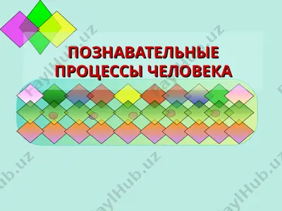 познавательные процессы человека — PPT