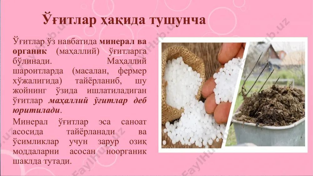 са енгил механик таркибли тупроқларда уни кузда, асосий ўғитлашда қўллаш яхши натижа бермайди, чунки бунда нитрат шаклдаги азот ювилиб кетади. аммиакли ўғитлар аммоний сульфат. аммоний сульфат (nh4)2so4 ўз таркибида 20,5-21,0 % азот тутади. жаҳон миқёсида ишлаб чиқариладиган азотли ўғитларнинг қарийб 25% и аммоний сульфат ҳиссасига тўғри келади. аммоний сульфат концентрланган сульфат кислотани газсимон аммиак билан тўйинтириш орқали олинади: h2so4  nh3  (nh4)2so4 . аммоний сульфат оқ рангли бўлади. аммоний сульфат кучсиз гигроскопик, сочилувчан, таркибида 24% атрофида олтингугурт тутади, қайсики, ўсимликларнинг озиқланишида ўзига хос аҳамиятга эга. аммоний сульфатнинг тупроқ билан ўзаро таъсири аммоний сульфат физиологик нордон ўғит. тупроққа тушган аммоний сульфат тезда эрийди ва nh4 катионлари тупроқнинг сингдириш комплекси томонидан ютилади ва илгари ютилган бошқа катионларнинг эквивалент миқдорига алмашинади. ютилган аммонийни ўсимликлар яхши ўзлаштиради. тупроқдаги ҳаракатчанлиги ва ювилиб кетиш хавфи кам бўлгани боис аммоний сульфатни асосий ўғитлаш даврида, яъни кузги шудгор остига киритиш мумкин. суюқ аммиакли ўғитлар суюқ аммиакли ўғитлар …