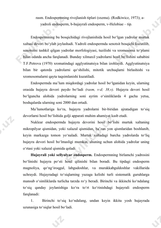 to‘liq shakllanish yakunida paydo bo‘lishi kuzatiladi. shuningdek murtagi sekin rivojlanuvchi yoki to‘liq shakllanmaydigan parazit, epifit va saprofit kabi o‘simliklarda odatda hujayrali endosperm uchraydi yoki endosperm butunlay hosil bo‘lmaydi. endosperm rivojlanish jarayonini uch davrga ajratish mumkin. birinchisi endosperm rivojlanishining dastlabki davrida yadrolar yoki hujayralar sonining ko‘payishi bilan bog‘liq. ikkinchisi hujayrali bosqichiga o‘tganidan keyin boshlanib, u hujayraning turli qavatlarini sezilarli darajadagi morfologik tabaqalashuvlari bilan bog‘liq. uchinchi davr oziq moddalarni to‘planishi bilan xarakterlanadi. bu uchala davr alohida holda rivojlanmay, bir-birini davomchisi holida ro‘y beradi. endosperm hujayralarining tabaqalashuvi va ularda oziq moddalarni to‘planishi ko‘p hollarda bir vaqtda sodir bo‘ladi. endospermal gaustoriy. helobie-endosperm tipidagi o‘simliklar endospermida turli ko‘rinishdagi gaustoriylar (so‘rg‘ichlar) hosil qiladi. uning quyi qismi yoki bazal aparat odatda gaustoriy vazifasini bajaradi. shuningdek ba’zan yadroli endospermda ham gaustoriy hosil bo‘ladi. gaustoriy va gaustoriy ko‘rinishdagi hosilalar hujayrali endospermda ayniqsa ko‘p uchraydi. ular murtak xaltaning yuqori pastki xatto yon qisimlarida turli tuman ko‘rinishda hosil bo‘ladi. endospermal gaustoriy …