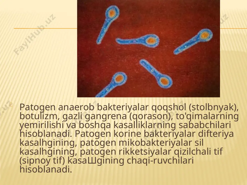 nadi. immunitet omillari va mexanizmlari. odamni kasalliklarga berilmaydigan qilib qo'yadigan himoya omillari spetsifik, ya'ni ma'lum bir qo'zg'atuvchiga qaratilgan va nospetsifik, ya'ni odam va ko'pgina hayvonlarga xos bo'lishi rnumkin. nospetsifik omillar xilma-xil mikroorganizmlarga qarshi himoyani amalga oshiradi. agglyutinatsiya reaksiyasi. agglyutinatsiya reaksiyasi antitelalar (agglyutininlar)ning yaxlit mikrob hujayralari yoki boshqa hujay-ralar bilan spetsifik ravishda o'zaro ta'sir etishiga asoslangan. shunday o'zaro ta'sir natijasida cho'kmaga tushadigan aglomerat zarralar hosil bo'ladi (agglyutinat). bu reaksiya ikki fazada o'tadi: birinchi faza — antigen bilan antitelaning spetsifik tarzda birikishi, ikkinchisi faza — nospetsifik fazabo'lib, ya'ni ko'zga ko'rinadigan agglyutinat hosil bo'lishi bilan bog'liq. pretsipitarsiya reaksiyasi. bu reaksiyalarda ishtirok etadigan antitelalar pretsipitatlardir. organizmda hosil bo'ladigan mayda dispersli antigen — antitela kompleksi oddiy metodlarda qo'yilgan pretsipitatsiya reaksiyasida ma'lum bo'ladi. masalan, kuydirgi, toun, tulyaremiya, meningit kasalliklarininl'diagnostikasida halqa-simon pretsipitatsiya reaksiyasidan foydalaniladi. buning uchun ingichka probirkalarga maxsus immun zardob quyiladi va unga juda ehtiyotlik bilan qoplam qilib antigen tushiriladi. ikki suyuqlik chegarasida halqa, ya'ni pretsipitat …