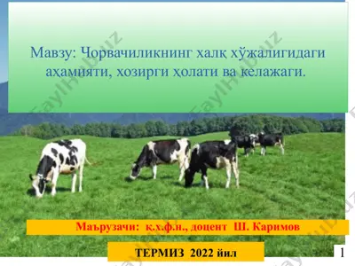 чорвачиликнинг халқ хўжалигидаги аҳамияти, хозирги ҳолати ва келажаги — PPTX