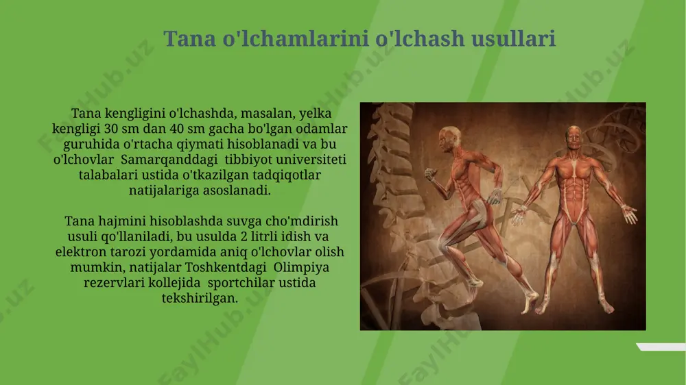 odamlar tanasining oʻlcham tavsifi - Page 3