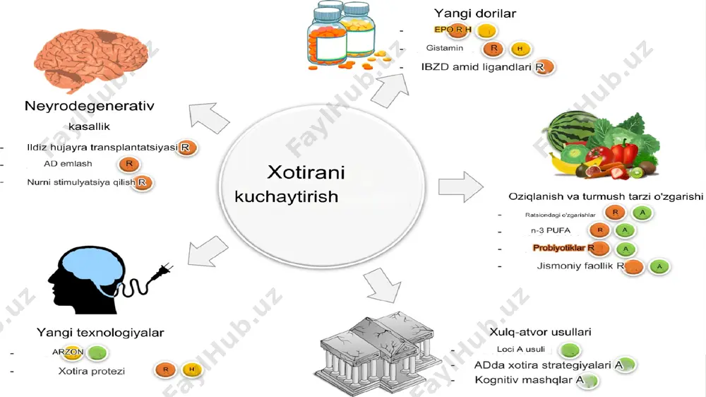 xotira rivojining asosiy omillari va shart-sharoitlari - Page 5
