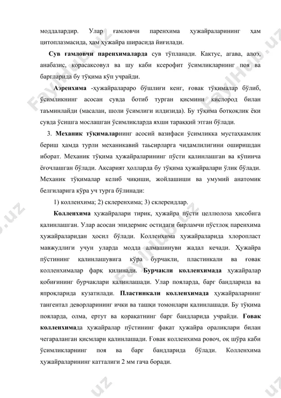 ида бўлади. колленхима ҳужайраларининг катталиги 2 мм гача боради. 4. склеренхима муҳим механик тўқима бўлиб, ўсимликнинг илдиз, поя каби ўқ органлари ва ўтказувчи най толали бойламлари таркибига киради. улар жуда пишиқ бўлади. бу тўқима ҳужайраларининг пўсти бир текис қалинлашади ва унда қават-қават тузилиш ифодаланади, кўпинча ёғочланган бўлади. тешиклари кичик, ёриқсимон ва кам миқдорли. ҳужайра пўсти шаклланиши билан ҳужайранинг тириклик қисми нобуд бўлади. келиб чиқишига кўра бирламчи ва иккиламчи склеренхима бўлиб, бирламчиси прокамбий ва перециклдан, иккиламчиси камбийдан ҳосил бўлади. поянинг пўстлоқ қисмида жойлашган ва кўпинча перециклдан ҳосил бўлган склеренхима луб толалари дейилиб, улар узун бўлади. масалан, зиғирда 40-120 мм, рама ўсимлигида 350-420 мм гача. уларда ҳужайра пўсти анча вақтгача целлюлозалигича қолади, баъзан эса ёғочланади. камбийдан ҳосил бўлган ва поянинг ёғочлик қисмида жойлашган склеренхима ёғочлик склеренхимаси ёки либриформ дейилади. улар узун эмас (2-2,5 мм гача), ҳужайра пўсти доимо ёғочланган. либриформ ҳужайралари ўлик бўлади. аммо ҳужайра пўсти юпқа, ёғочланмаган тирик либриформлар ҳам мавжуд …