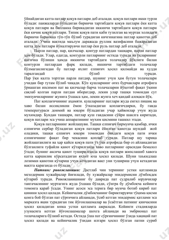 chakli shaklda bo'lib unga pat elpig'ichlari birikadi, shu bilan birga pat tanasining ustki yuzasi bo'rtib chiqqan, pastki yuzasida esa uzunasiga ketgan egati bor. pat o'qining elpig'ichsiz pastki qismi qalam uchi (calamus) deb ataladi, qalam uchining ko'ndalang kesimi yumaloq bo'lib, tubida teshigi bor. pat tanasining ichki qismi katakchali o'zak bilan to'lgan bo'lsa, qalam uchinig bo'shligida bir-biriga kirib turgan nozik shox qalpoqchalar o'sayotgan yosh patni qon bilan ta'minlab kelgan o'lik pat so'rg'ichlaridir. pat elpig'ichining har biri talaygina uzunchoq uch qirrali plastinkalardan - birinchi tartibdagi tolachalardan hosil bo'lgan, bu tolachalarga undan ham mayda ikkinchi tartibdagi tolachalar o'rnashgan. har qaysi ikkinchi tartibdagi tolachaning uchida mikroskop bilangina ko'rinadigan kichgina ilmoqchalar bor. bu ilmoqchalar boshqa birinchi tartibdagi tolachardan chiqqan ikkinchi tartibdagi tolachalar ilmoqchalariga ilashib oladi. tolacharning bu xildagi bir-biriga ilashib turishi pat elpig'ichlari egiluvchan bir plastinkadek bo'lib qoladi, bu plastinka mexanik ta'sir bilan yirtilishi mumkin, lekin ilmoqlari bir-biriga yana tegishi bilan darrov asl xoliga qaytadi. qontur …