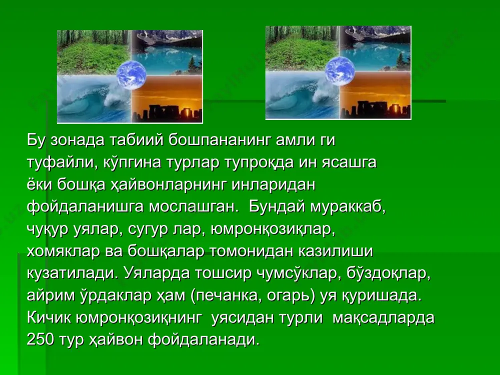 тоғли ҳавзаларда ўсимлик ва ҳайвонот дунёси - Page 4