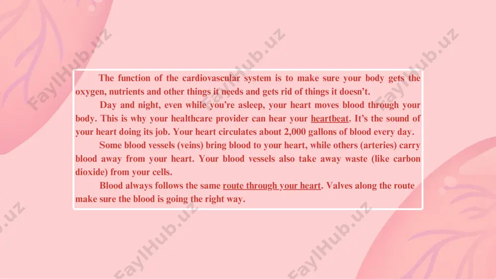 heart and vascular system - Page 4