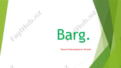 barg — PPTX