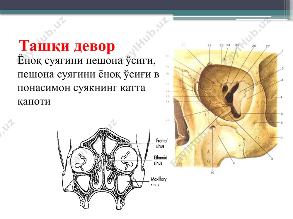 kўz kасаллиklari kаfudrаsi - Page 4