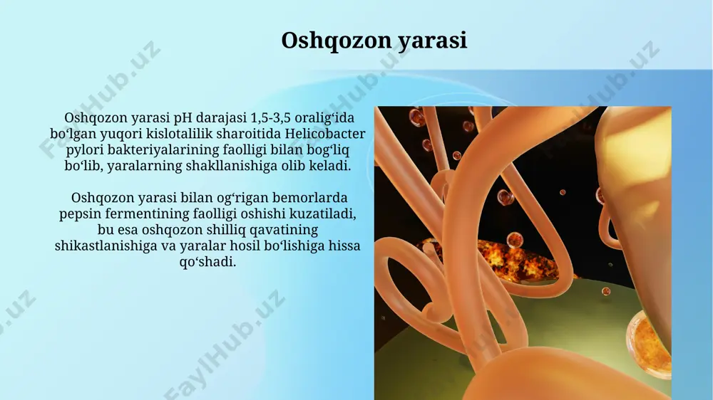 entlar neytral ph darajasida (ph 7 atrofida) eng yaxshi ishlaydi, shuning uchun oshqozonning yuqori kislotaligi ularning faolligini sezilarli darajada kamaytiradi. ko'pgina oshqozon fermentlari, masalan, pepsin, optimal faoliyat ko'rsatish uchun juda kislotali muhitni, taxminan ph 1,5-2,0 oralig'ini talab qiladi. antasidlar ta'siri antasidlar oshqozon kislotaliligini ph darajasini 3 dan 5 gacha ko'tarish orqali kamaytiradi, bu ko'plab oshqozon fermentlarining optimal faoliyati uchun muhimdir. antasidlarni qabul qilish natijasida oshqozonning kislotalilik darajasi 2 soat davomida sezilarli darajada pasayishi mumkin, bu ba'zi oziq-ovqatlarning hazm bo'lishiga va fermentlarning faoliyatiga ijobiy ta'sir ko'rsatadi. oshqozon kislotaliligining ta'siri oshqozon kislotaliligining optimal darajasi ph 1,5-3,5 oralig'ida bo'lib, pepsin fermenti faolligini ta'minlaydi, ph ning 4 dan oshishi pepsinning aktivligini sezilarli darajada pasaytiradi. oshqozon kislotaliligining pastligi (gipoatsidlik) pepsinogenning pepsin shakliga o'tishini sekinlashtiradi va shu bilan ovqat hazm qilish jarayonini susaytirib, ovqat hazm bo'lishini 20% ga sekinlashtirishi mumkin. reflü xastaligi reflü xastaligining davolashda, ph ni 5-7 oralig'ida ushlab turish orqali oshqozon fermentlari faoliyatini normallashtirishga …