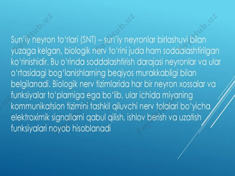 sun'iy neyron to'rlari - Page 3