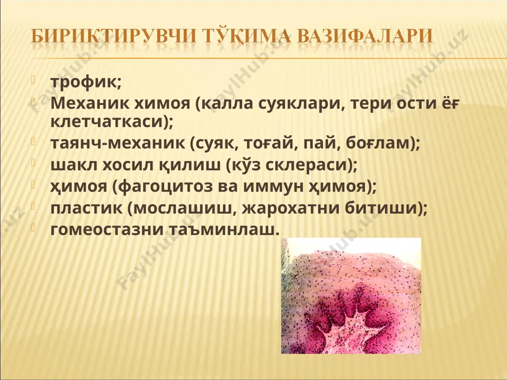 бириктирувчи тўқима - Page 5