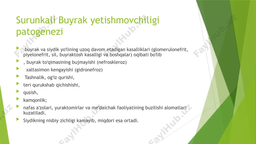 buyrak yetishmovchiligi - Page 5