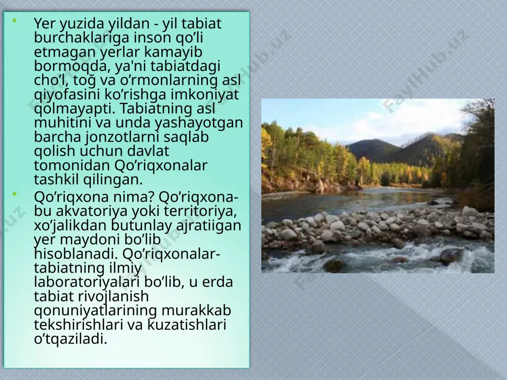 rdan boshqa respublikamiz territoriyasida yana bir qancha qo’riqxonalar bor. ulardan tashqari milliy boğkarimiz, tabiiy yodgorliklarimiz ham bor. har qaysi qo’riqxonada ma'lum bir o’simlik turlari va hayvon zotlari saqlanadi, ularning yashashi, ko’payishi, iiziologiyasi, tabiati o’rganiladi. qo’riqxonalar, qizil kitobning asosiy va muhim vazifalari tabiatimizni asrashimizga qaratilgandir. siz ham o’z hissangizni qo’shing! yer kurrasida hozirgi vaqtda 670 ming (shundan 500 mingi gulli o`simliklar) o`simliklar va 1,5 million hayvon turlari mavjud bo`lib, ularning 93% uchun quruqlik va 7% i uchun suv yashash muhiti hisoblanadi. turlarning hosil bo`lishi va ularning yo`qolib ketishi sababi evolyutsion taraqqiyot jarayoni bo`lib, yerda geologik sharoitlarning o`zgarishiga ham bog`liqdir. ammo odamning kelib chiqishi natijasida bu tabiiy jarayon buzila boshladi, hayvon va o`simliklarning antropogen (inson faoliyati) ta'sirlari natijasida yo`qolib borish jarayoni tezlasha boshladi. odam tomonidan yangi yerlarning, orollarning va kontinentlarning o`zlashtirilishi natijasida butun sayyora masshtabida fauna va floraning xilma-xilligi tobora kamayib borish jarayoni kuzatilmoqda. turlarning qirilishi qadim zamonlardayoq boshlangan edi. o`n minglab …