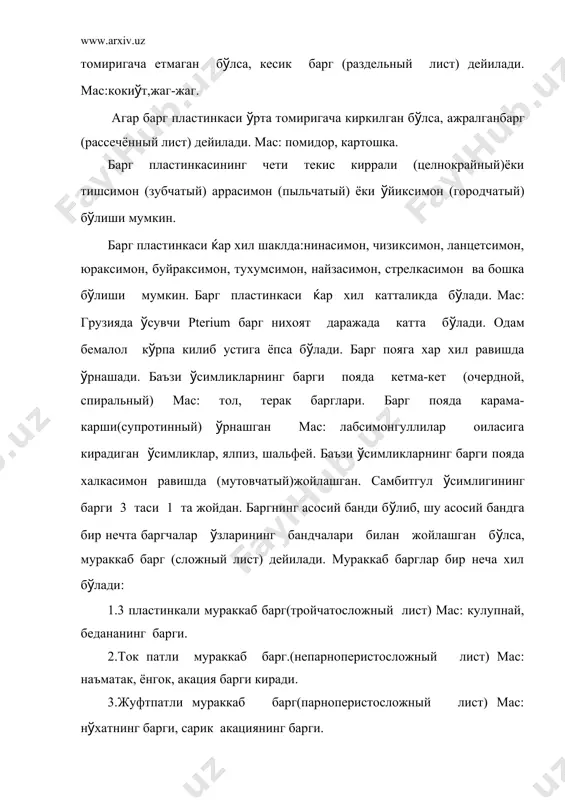 онидаги кисмларини куриб колишидан саклайди. баъзи бир (симликларнинг барглари кисмларини куриб колишидан сак-лайди. маккаж(хорининг с(тасини (раб олган барглар (ам ж(-хори донини куёш таъсирида куриб колиш, чириш ва куртларнинг еб кетишидан саклайди. баъзи (симликларнинг барглари кисман ёки бутунлай тиконга айланган б(лади. мас: кушк(нмас, к(йтикан деб аталган (симликларнинг барглари кисман тиканга айланган б(лади. как-тус ва барбарис (симликларининг барглари эса бутунлай тиканга айланган. демак, тиканлар (симликларни (имоя килади. агава ва алоэ деган (симликларнинг баргларида сув запаслари т(планади. баъзи бир (симликларнинг барглари гажакка айланган. бу гажакка айланган барглар ёрдамида (симлик бирор нарсага осилиб ёки чирмашиб (сади: мош, ловия, н(хат. австралияда (сувчи австралия акациясининг баргининг банди яхши тараккий этиб,барг пластинкасига айланган б(лади. бундай баргларни 2 филлодия деб аталади. пластинкага айланган барг бандида фотосинтез процесси б(лади. демак, барг бандининг пластинкасига айланиши фотосинтез процессига б(лган талабдан дейилади. баъзи бир (симликларда оксил модда етишмаганлиги сабабли барг хашорат тутадиган копконга айланади. бундай (симликларга: росянка, мухоловка, пузирчатка, кувшинкалар киради. гул …