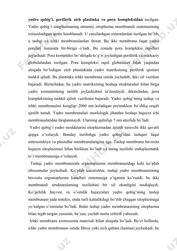 radi. yadro qobig’ining tashqi va ichki membranalari kengligi 2060 nm keladigan perinuklear bo’shliq orqali ajralib turadi. yadro membranalari morfologik jihatdan boshqa hujayra ichi membranalaridan farqlanmaydi. ularning qalinligi 7 nm atrofida bo’ladi. yadro qobig’i yadro moddalarini sitoplazmadan ajratib turuvchi ikki qavatli qopga o’xshaydi. bunday tuzilishga yadro qobig’idan tashqari faqat mitoxondriya va plastidlar membranalarigina ega. tashqi membrana bevosita hujayra sitoplazmasi bilan birikkan bo’ladi va uning tuzilishi endoplazmatik to’r membranasiga o’xshaydi. tashqi yadro membranasida ergastoplazma membranasidagi kabi ko’plab ribosomalar joylashadi. ko’plab kuzatishlar, tashqi yadro membranasining bevosita ergastoplazma kanallari sistemasiga o’tganini ko’rsatdi, bu ikki membranali strukturalarning tuzilishini bir xil ekanligini tasdiqlaydi. ko’pchilik hayvon va o’simlik hujayralari yadro qobig’ining tashqi membranasi juda notekis, unda turli kattalikdagi bo’rtib chiqqan sitoplazmaga yo’nalgan o’simtalar bo’ladi. bular tashqi yadro membranasining sitoplazma bilan tegib turgan yuzasini, ba’zan, yuzlab marta orttirib yuboradi. ichki membrana xromosoma materiali bilan aloqada bo’ladi. ba’zi hollarda, ichki yadro membranasi ostida fibroz yoki zich qatlam (lamina) joylashadi, …
