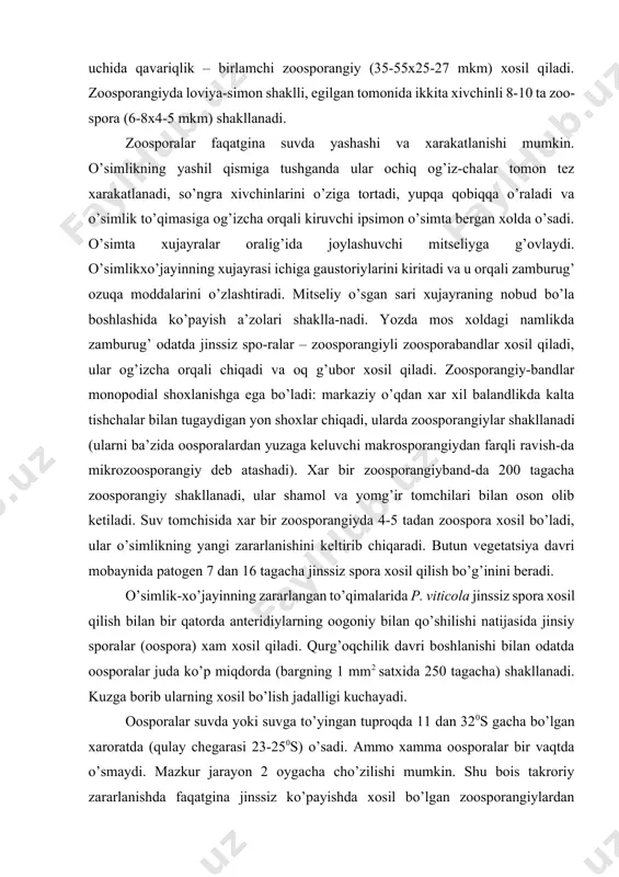 jayinning zararlangan to’qimalarida p. viticola jinssiz spora xosil qilish bilan bir qatorda anteridiylarning oogoniy bilan qo’shilishi natijasida jinsiy sporalar (oospora) xam xosil qiladi. qurg’oqchilik davri boshlanishi bilan odatda oosporalar juda ko’p miqdorda (bargning 1 mm2 satxida 250 tagacha) shakllanadi. kuzga borib ularning xosil bo’lish jadalligi kuchayadi. oosporalar suvda yoki suvga to’yingan tuproqda 11 dan 320s gacha bo’lgan xaroratda (qulay chegarasi 23-250s) o’sadi. ammo xamma oosporalar bir vaqtda o’smaydi. mazkur jarayon 2 oygacha cho’zilishi mumkin. shu bois takroriy zararlanishda faqatgina jinssiz ko’payishda xosil bo’lgan zoosporangiylardan chiqqan zoosporalar emas, balki oosporalarda shakllangan o’sishi kechikkan zoosporangiylar xam ishtirok etadi. jinssiz spora xosil qilish xavoning nisbiy namligi 95% dan yuqori bo’lganda (qulay chegarasi 97-100%) rivojlanadi, shu bois uning jadal rivojlanishi odatda mo’l yog’ingarchilik, shud-ring va tumanda kuzatiladi. jinssiz sporalarning xosil bo’lishi uchun 11-300s xarorat (qulay chegarasi 18-240s) talab etiladi. zoosporangiylarning o’sishi va o’simliklarning zararla-nishi 12-130s dan past bo’lmagan xaroratda va tomchi namlik mavjud bo’lganda …