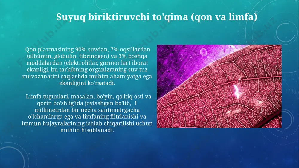 qlanadi va bu mineral almashinuvida muhim ahamiyatga ega. davolash usullari va profilaktika 15-20 ёшдаги ўсмирларда суяк зичлигини ошириш учун тошкентдаги мутахассислар томонидан 3 ойлик кальций ва d витамини терапияси тавсия этилади, бу суяк синиши хавфини 20% га камайтиради. фергана водийсидаги 40-50 ёшли эркаклардаги суяк муаммоларини даволашда физик терапия, суякка зарар етказмайдиган машқлар билан биргаликда, 6 ойлик мунтазам даволаниш курси самарали бўлиши мумкин. bo'sh biriktiruvchi to'qima bo'sh biriktiruvchi to'qima hujayralari, fibroblaslar, hujayralararo moddalar va 3 ta asosiy tolali tuzilmalar: kollagen, elastik va retikulyar tola kabi komponentlardan iborat bo'lib, ularning nisbati to'qima turiga bog'liq. bo'sh biriktiruvchi to'qima, masalan, yog' to'qimasi, inson tanasining taxminan 15-20% ini tashkil qiladi va energiya zaxirasi vazifasini o'taydi, shuningdek, ichki organlarni himoya qilishda muhim rol o'ynaydi. suyak to'qimalarining umumiy tavsifi suyak to'qimasining mineral tarkibi, kalsiy va fosfat tuzlari kabi moddalarni o'z ichiga oladi. bu minerallar suyaklarning mustahkamligini va qattiqligini ta'minlaydi. masalan, kattalardagi suyaklarning 70% mineral moddalardan iborat. suyak …