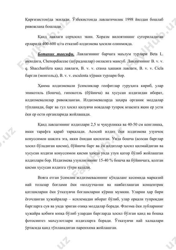 зий ўтказувчи цлиндрдан ажратиб туради. майсаларда дастлабки биринчи жуфт барглар ҳосил бўлгач илдизда иккиламчи тузилишга эга ўзгаришлар содир бўлади. ксилема пластинкасининг икки томонида жойлашган паренхима тўқималаридан бирламчи камбий чизиқлари ҳосил бўлади ва уларнинг охири перецикл найчасида бирламчи ксилема олдида иккиламчи ксилема ҳосил бўлади. бирламчи флоэмадан иккиламчи флоэмалар ҳосил бўлиб бошлайди. ксилима найлари радиус бўйлаб жойлашади. найлар ўртасидаги паренхема ҳужайралари ўсади, найларни силжитади ва уларни радиал жойлашишга олиб келади. илдизни марказини бундай тузилиши юлдузча номини олди. перецикл ҳужайралари иккиламчи пўстлоқни ҳосил қилади. иккиламчи пўстлоқни ўсиши пўкакни ҳосил бўлиши ва бирламчи пўстлоқни ташлаш линька дейилади. линька жараёни ўтиб, илдизмева йўғонлашади. шунинг учун қанд лавлагини яганаси қисқа вақтда ўтказилиши керак. иккиламчи пўстлоқ ташлангандан кейин учламчи ўзгаришлар юзага келади. иккиламчи пўстлоқ паренхималарида иккиламчи камбий халкаси ҳосил бўлади. ксилемани ичкарида флоэмани ташқарида ҳосил қилиб иккиламчи камбий халкаси ўз фаолиятини тугатади. унинг ўрнига ташқаридан учинчи камбий халкаси ҳосил бўлади. кейин 4,5 халкалар пайдо бўлади ва ҳоказо. …
